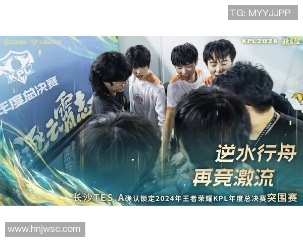 深入解析王者荣耀TES战队的团队协作与默契配合之道